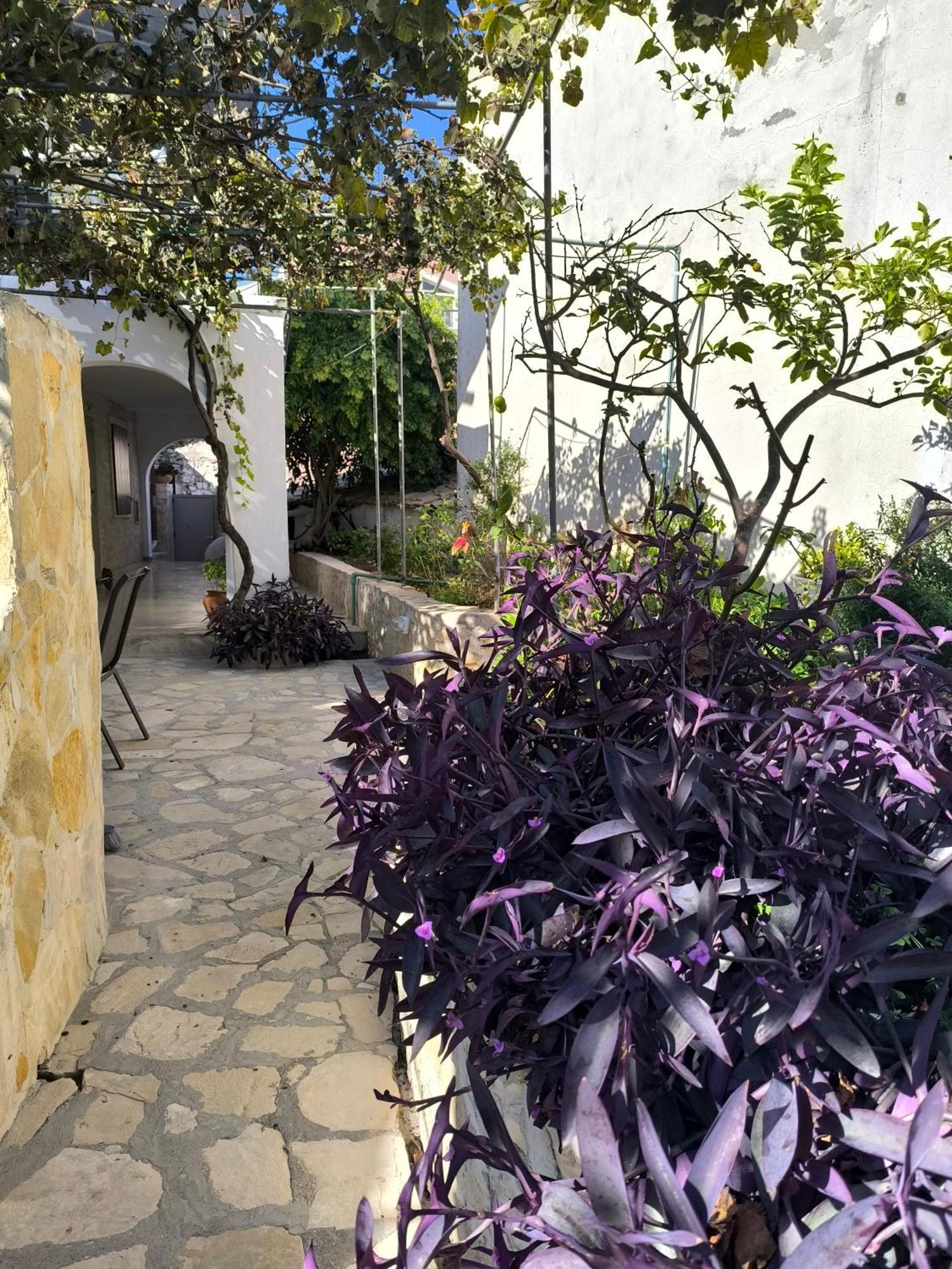 Poseidon Apartments Gaios Dış mekan fotoğraf
